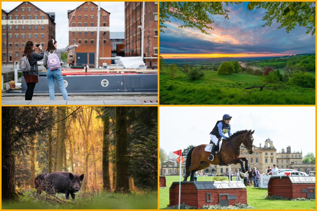 Gloucester Docks, Cotswold Sunset, a Wild Boar, Badminton Horse Trials